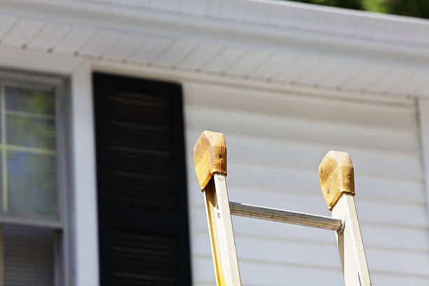 Shed Removal in Goldenrod, FL